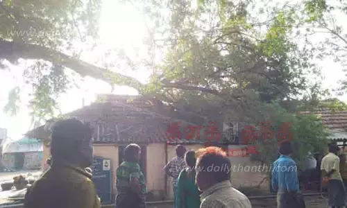 சோழவந்தான் அருகே  பலத்த காற்றுடன் கனமழை - வீட்டின் மீது மரம் விழுந்தது