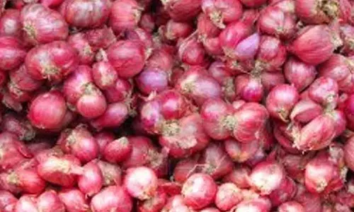 சின்ன வெங்காயம் விலை மீண்டும் உயர்வு