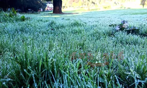 ஊட்டியில் நீர் பனிப்பொழிவு தொடக்கம்