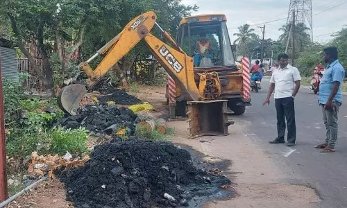 பழனியில் சாக்கடை கால்வாய் தூர்வாரும் பணி தீவிரம்