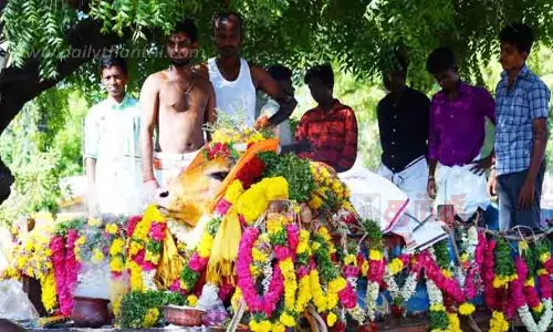 கோவில் காளைக்கு கிராம மக்கள் அஞ்சலி