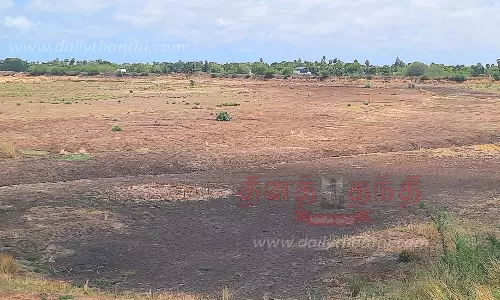 போதிய மழை இல்லாததால் வறண்ட மல்லல் கண்மாய் போதிய மழை இல்லாததால் வறண்ட மல்லல் கண்மாய்