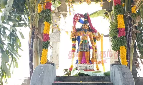 தீவு முனியசாமி கோவிலில் 50 கிடாய்கள், 200 சேவல்களை பலியிட்டு கறிவிருந்து