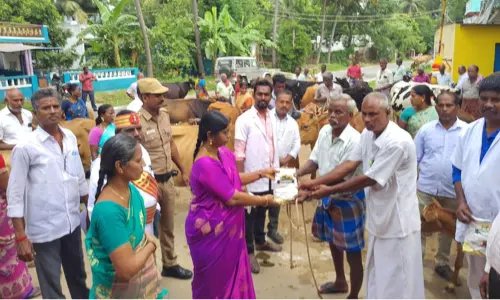 சிறப்பு கால்நடை சிகிச்சை முகாம் சிறப்பு கால்நடை சிகிச்சை முகாம்