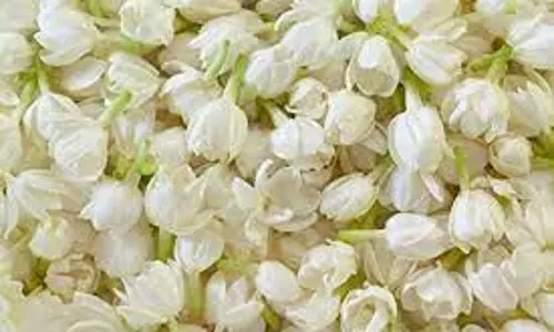 சத்தியமங்கலம் மார்க்கெட்டில் மல்லிகைப்பூ கிலோ ரூ.1,180-க்கு ஏலம்