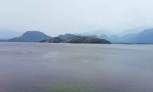 அமராவதி அணையில் இருந்து பாசனத்திற்கு 12-ந் தேதி தண்ணீர் திறப்பு