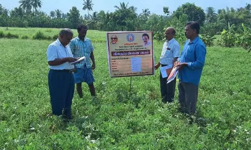 விதை பண்ணையில் வேளாண்மை இணை இயக்குனர் ஆய்வு