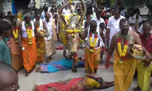 பக்தர்களை மாடு தாண்டும் வினோத வழிபாடு