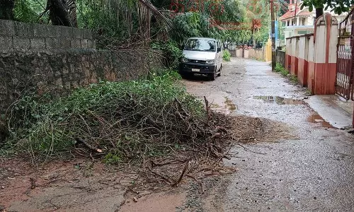 தினத்தந்தி புகார் ெபட்டி