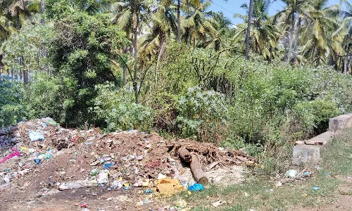 கம்பம் அருகேஆக்கிரமிப்பின் பிடியில் சிக்கிய ஓடை கம்பம் அருகேஆக்கிரமிப்பின் பிடியில் சிக்கிய ஓடை