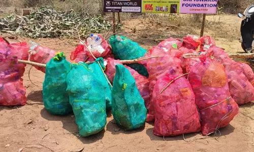 ஏழுமலையான் கோவில் வனப்பகுதியில் குப்பைகளை சேகரித்த தன்னார்வலர்கள்