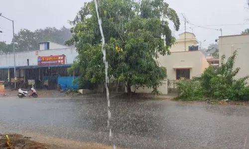 திடீர் மழை