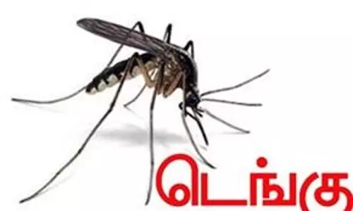 டெங்கு விழிப்புணர்வு பேரணி டெங்கு விழிப்புணர்வு பேரணி