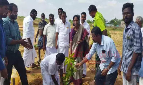 தரிசுநில மேம்பாட்டு திட்டம் தரிசுநில மேம்பாட்டு திட்டம்