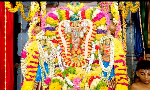 கரிவரதராஜ பெருமாள் கோவிலில் ஊஞ்சல் சேவை