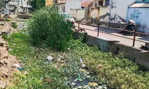 புதர்மண்டி கிடக்கும் இரட்டை வாய்க்கால்