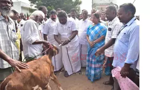 தழுதாழையில் கால்நடை பராமரிப்பு  விழிப்புணர்வு முகாம்