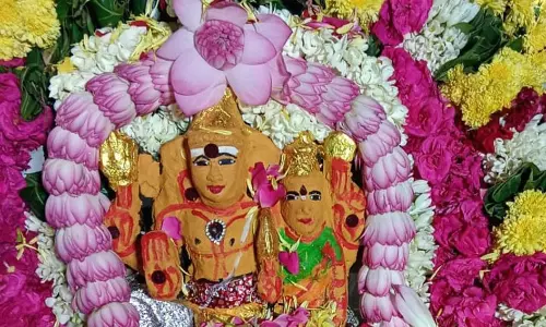 தியாகதுருகம், சங்கராபுரம் சிவன் கோவில்களில் ராகு-கேது பெயர்ச்சி சிறப்பு பூஜை