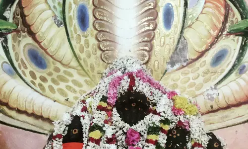 மந்திரபுரீஸ்வரர் கோவிலில் ராகு-கேது பெயர்ச்சி விழா மந்திரபுரீஸ்வரர் கோவிலில் ராகு-கேது பெயர்ச்சி விழா