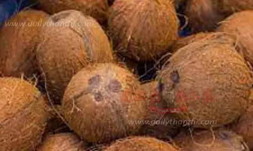 ரூ.1½ லட்சத்துக்கு கொப்பரை தேங்காய் ஏலம் ரூ.1½ லட்சத்துக்கு கொப்பரை தேங்காய் ஏலம்
