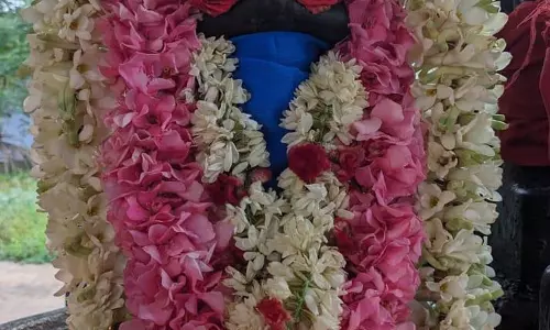 பல்வேறு கோவில்களில் ராகு-கேது பெயர்ச்சி விழா