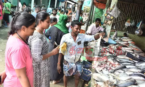ஈரோட்டில் மீன்கள் விலை குறைந்தது