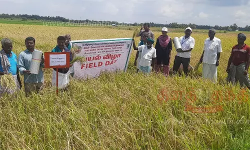 வயல் விழா