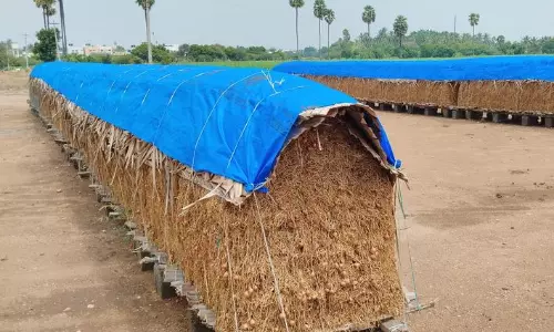 பட்டறை அமைத்து சின்ன வெங்காயத்தை இருப்பு வைக்கும் விவசாயிகள்