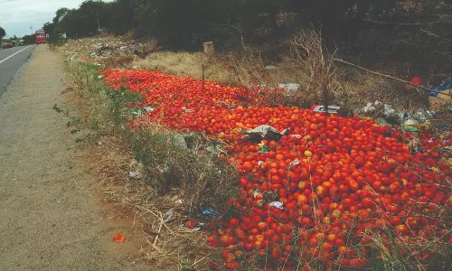 விலை உயர்ந்தது வெங்காயம்... உயருமா தக்காளி..?