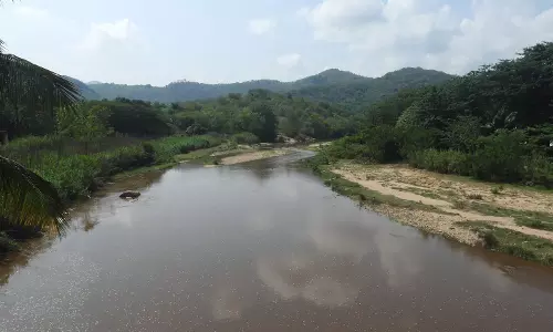 வெள்ளிமலை வனப்பகுதியில் கனமழை:மூலவைகை ஆற்றில் நீர்வரத்து அதிகரிப்பு