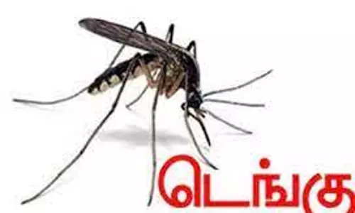 செவிலியருக்கு டெங்கு காய்ச்சல் செவிலியருக்கு டெங்கு காய்ச்சல்