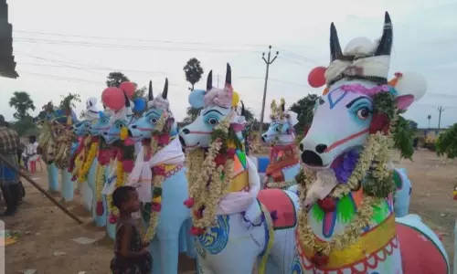 அய்யனார் கோவிலில் குதிரை எடுப்பு விழா