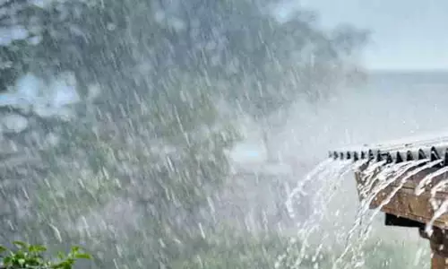 ராஜபாளையம் பகுதியில் மழை