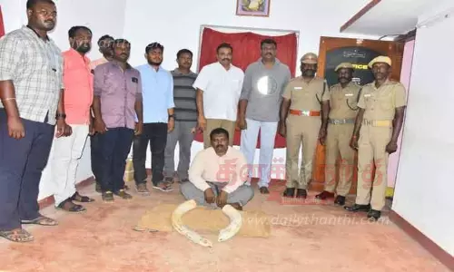 காரில் பதுக்கிய 2 யானை தந்தங்கள் பறிமுதல் காரில் பதுக்கிய 2 யானை தந்தங்கள் பறிமுதல்