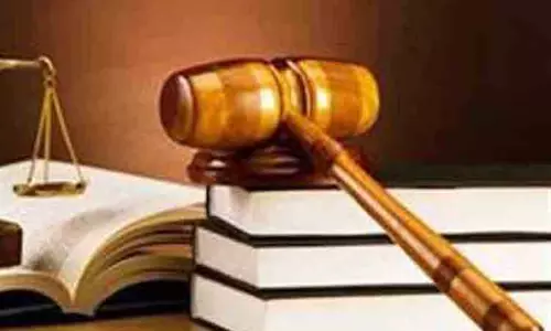 வளர்ப்பு யானையை உரிமையாளரிடம் ஒப்படைக்கலாமா?-தலைமை வனப்பாதுகாவலர் பதில் அளிக்க நீதிபதி உத்தரவு வளர்ப்பு யானையை உரிமையாளரிடம் ஒப்படைக்கலாமா?-தலைமை வனப்பாதுகாவலர் பதில் அளிக்க நீதிபதி உத்தரவு