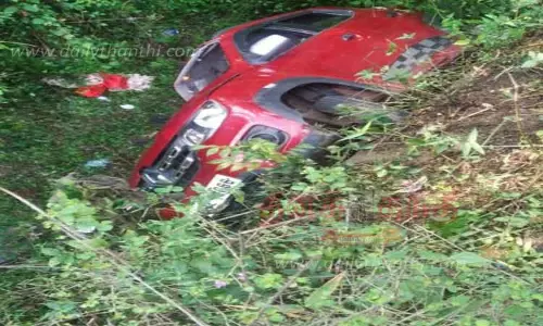 ஆசனூர் அருகே  பள்ளத்தில் பாய்ந்த கார்