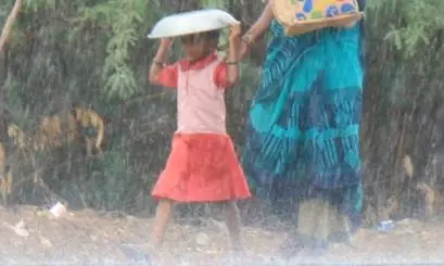 ஆர்.எஸ்.மங்கலம் பகுதியில் பரவலாக மழை ஆர்.எஸ்.மங்கலம் பகுதியில் பரவலாக மழை