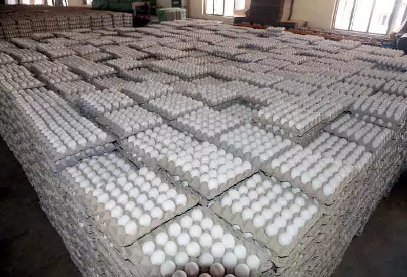 தினசரி முட்டை உற்பத்தி 1 கோடி சரிவு