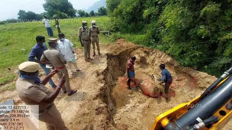 மின்வேலியில் சிக்கி காட்டு மாடு பலி