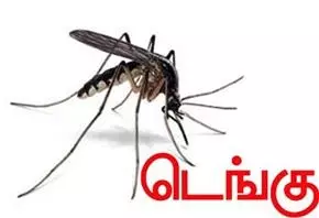 டெங்கு காய்ச்சல் தடுப்பு பணி