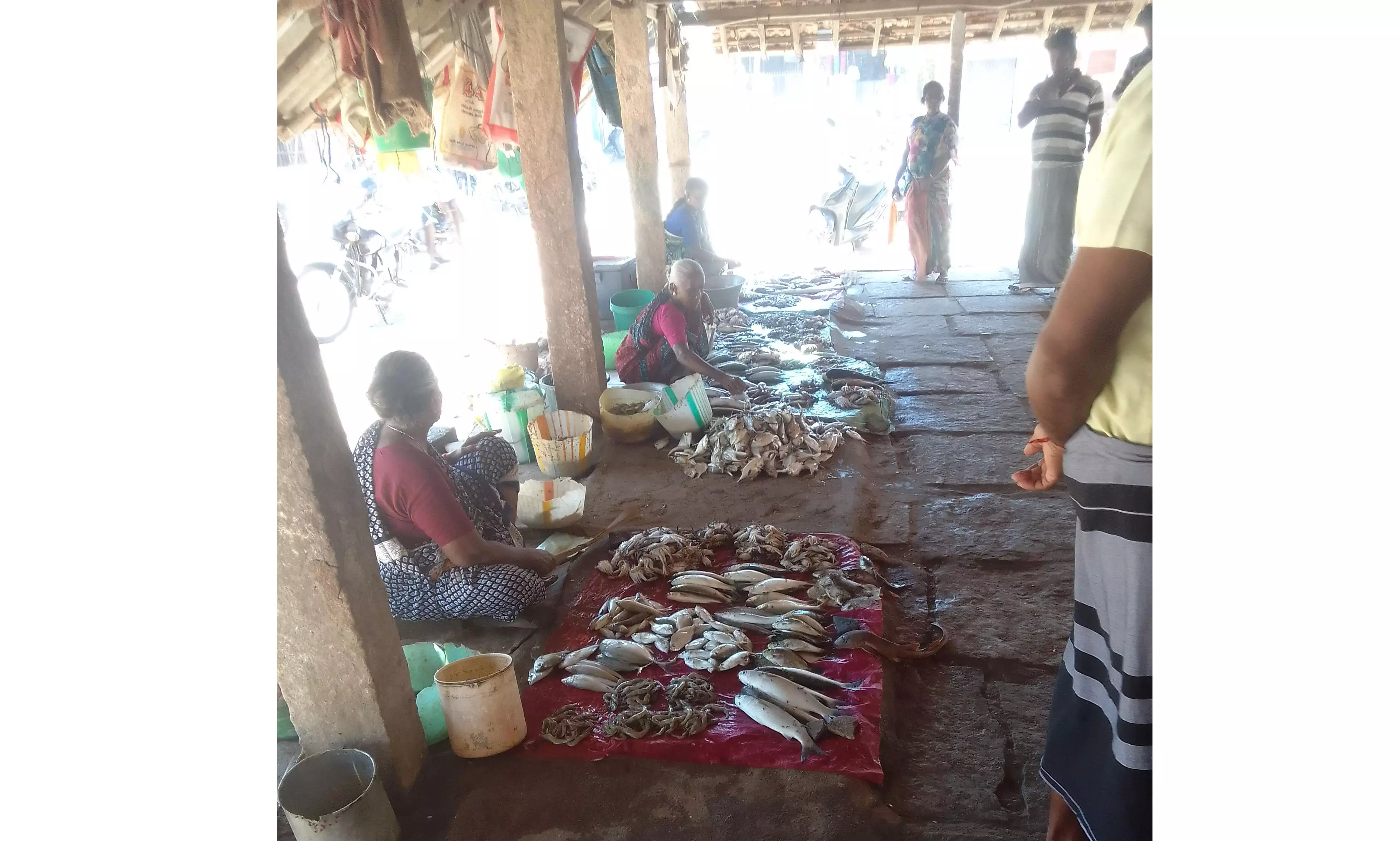 மார்க்கெட்டுகளில் மீன்கள் விலை சரிவு