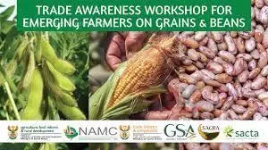 வேளாண் சந்தை குறித்து விவசாயிகளுக்கு விழிப்புணர்வு