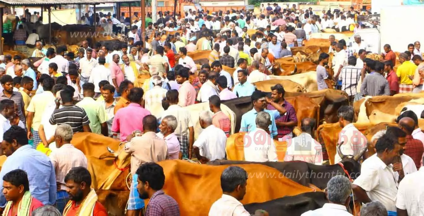 பொய்கை கால்நடை சந்தையில் ரூ.2 கோடிக்கு வர்த்தகம்