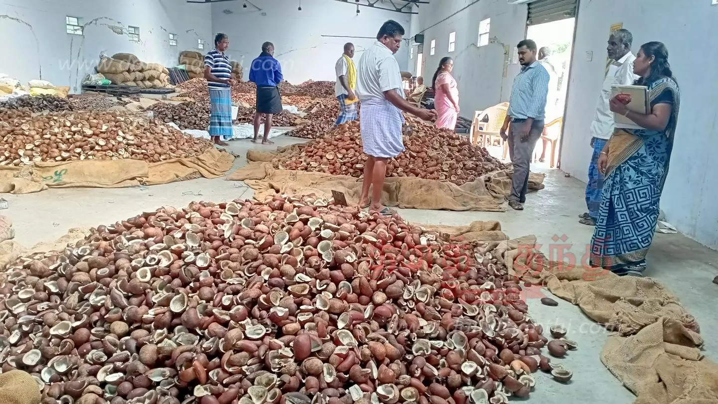 கொங்கணாபுரம் ஒழுங்குமுறை விற்பனை கூடத்தில்கொப்பரை தேங்காய் விற்பனை அதிகரிப்புரூ.7 லட்சத்துக்கு ஏலம் போனது