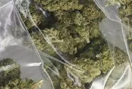 சேலத்தில் போலி சப்-இன்ஸ்பெக்டர் கைது:சிறையில் பழகிய ரவுடிகள் மூலம் கஞ்சா கடத்தியது அம்பலம்போலீஸ் விசாரணையில் பரபரப்பு தகவல்