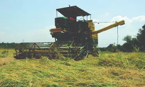 எந்திரங்கள் மூலம் நெல்அறுவடை தீவிரம் எந்திரங்கள் மூலம் நெல்அறுவடை தீவிரம்