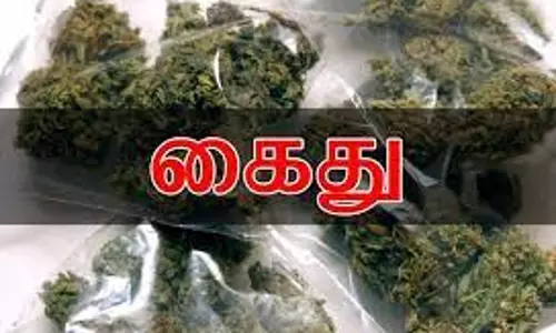 கஞ்சா விற்ற முதியவர் கைது கஞ்சா விற்ற முதியவர் கைது