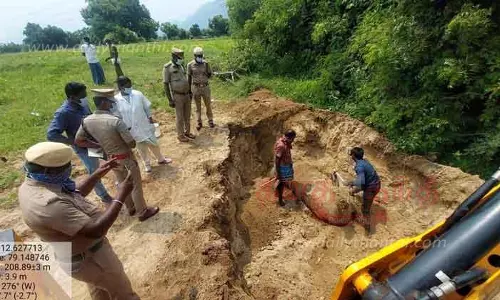 மின்வேலியில் சிக்கி காட்டு மாடு பலி