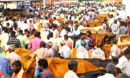 பொய்கை கால்நடை சந்தையில் ரூ.2 கோடிக்கு வர்த்தகம்