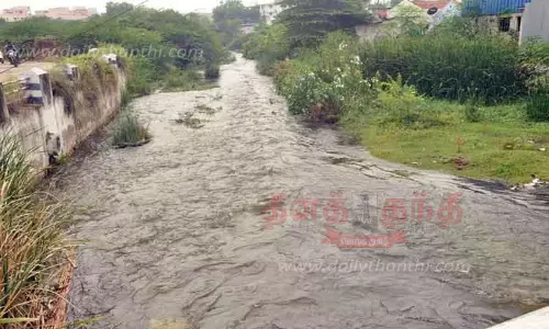 மாவட்டத்தில் பரவலாக மழை: ஓடைகளில் பெருக்கெடுத்து ஓடிய தண்ணீர்